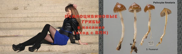 альфа пвп Кулебаки