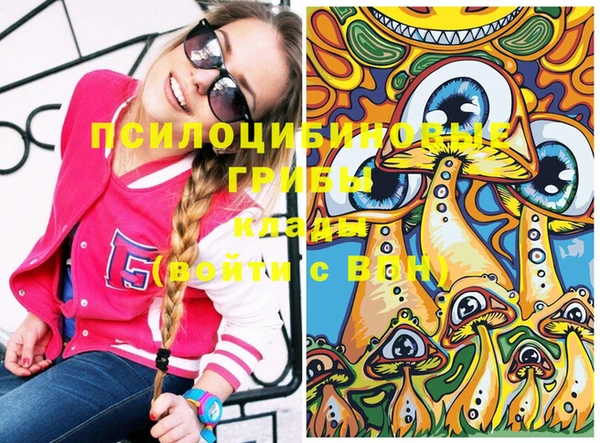 СК Куйбышев