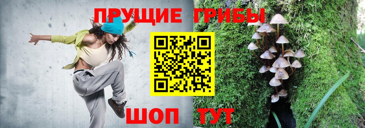 Галлюциногенные грибы Psilocybe  Псилоцибиновые грибы Psilocybine cubensis  Мелеуз 