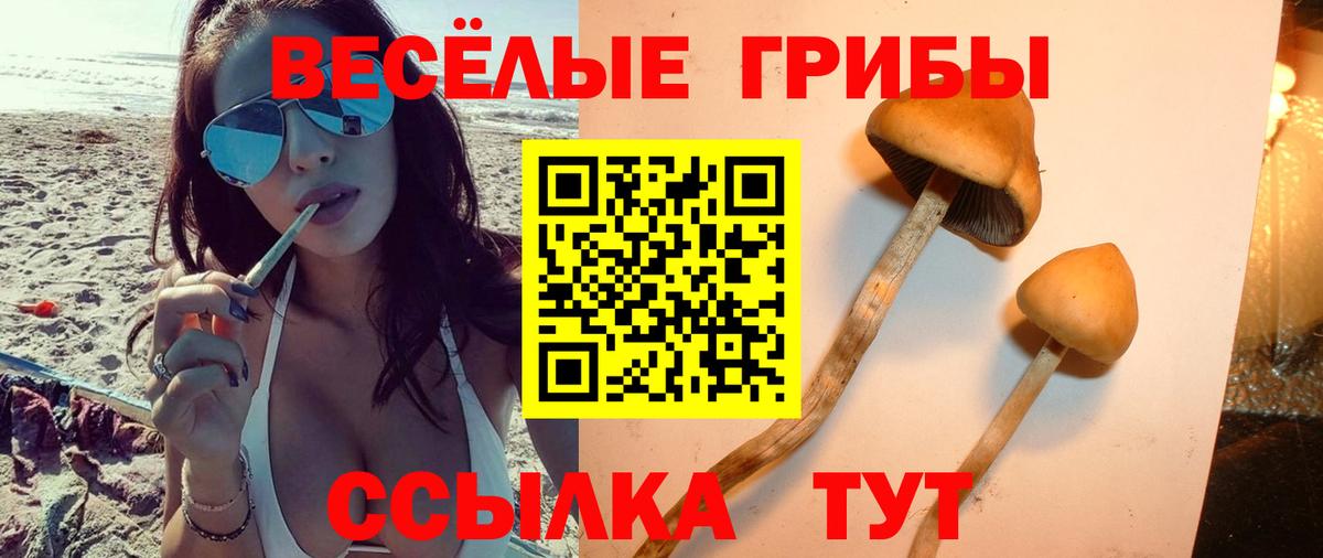 Галлюциногенные грибы Psilocybine cubensis  хочу   Мелеуз  Вход с VPN  Псилоцибиновые грибы Cubensis 